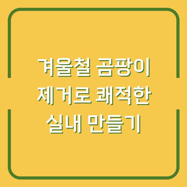 겨울철 곰팡이 제거로 쾌적한 실내 만들기