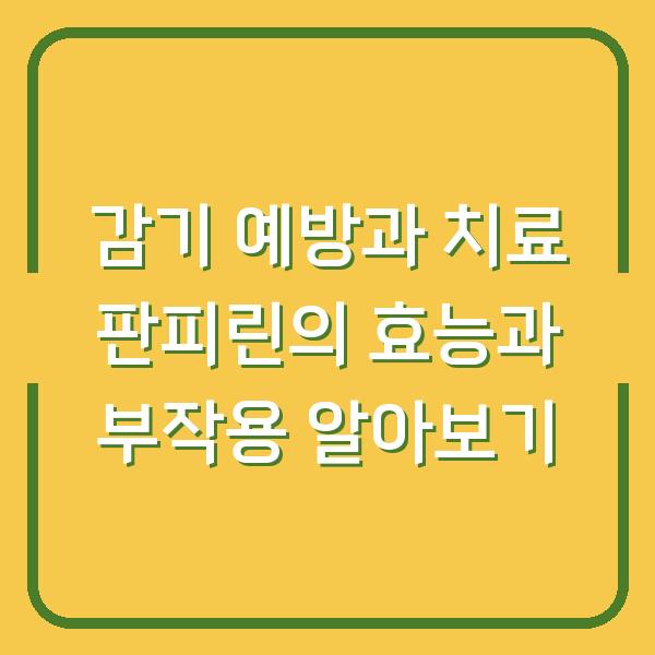 감기 예방과 치료 판피린의 효능과 부작용 알아보기