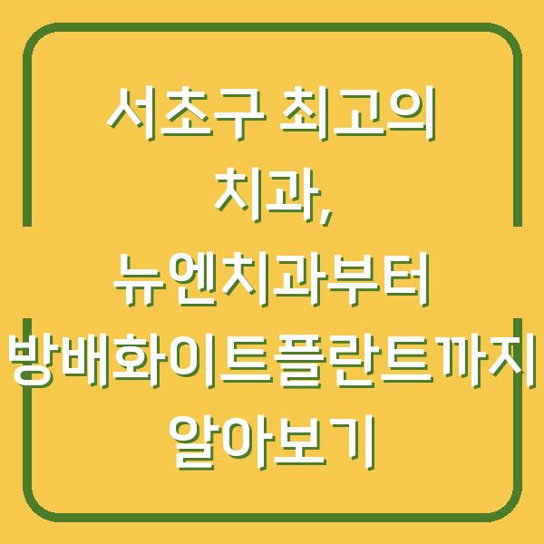서초구 최고의 치과, 뉴엔치과부터 방배화이트플란트까지 알아보기