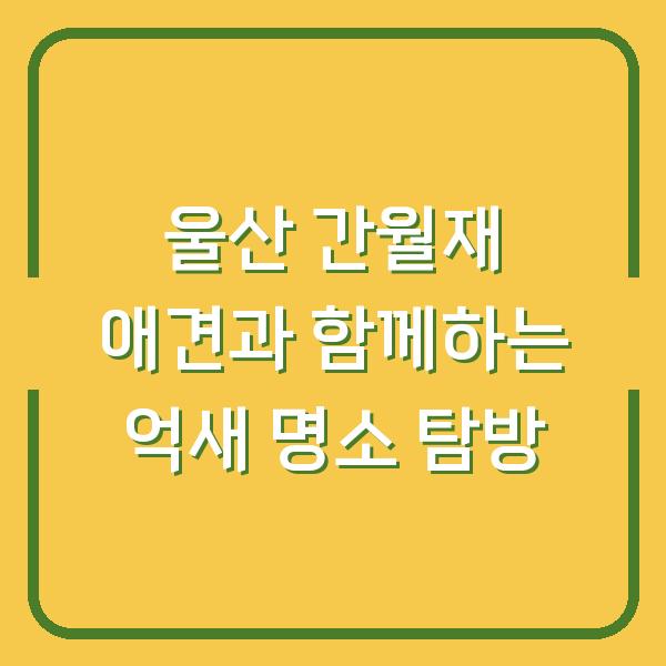 울산 간월재 애견과 함께하는 억새 명소 탐방