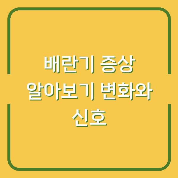 배란기 증상 알아보기 변화와 신호