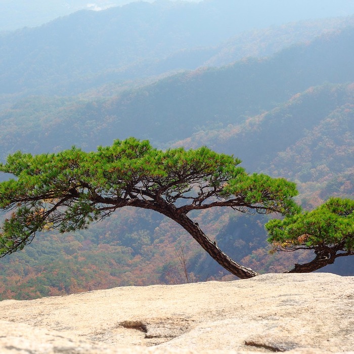 북한산 생태공원