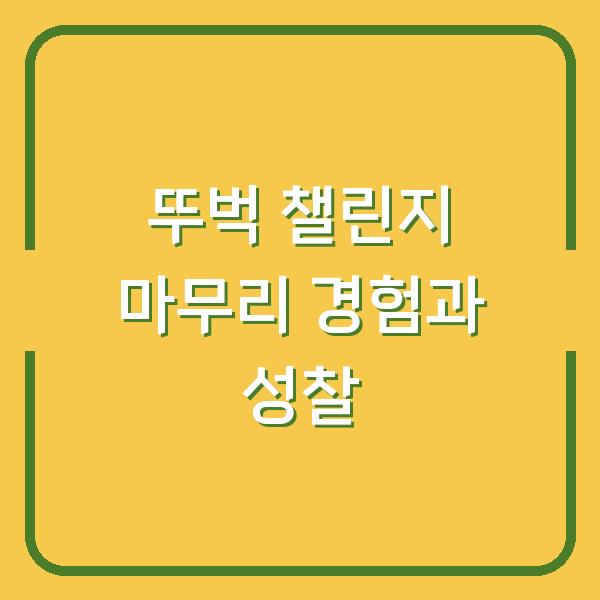 뚜벅 챌린지 마무리 경험과 성찰