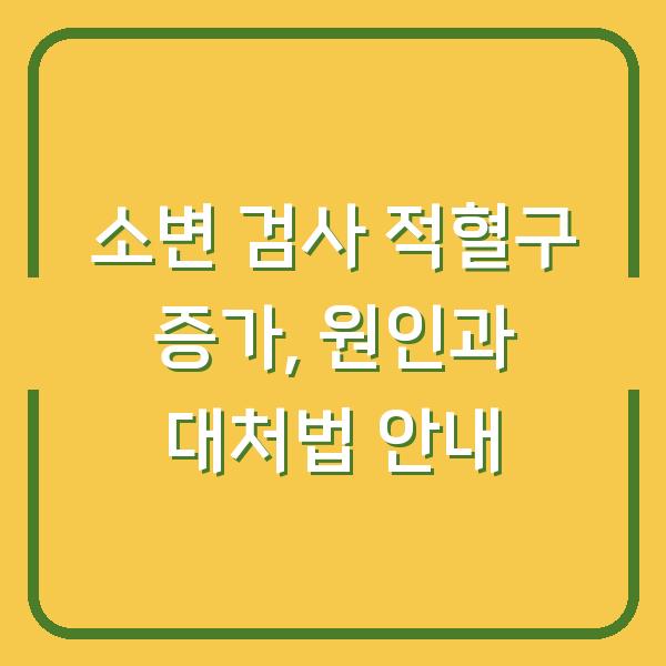 소변 검사 적혈구 증가, 원인과 대처법 안내