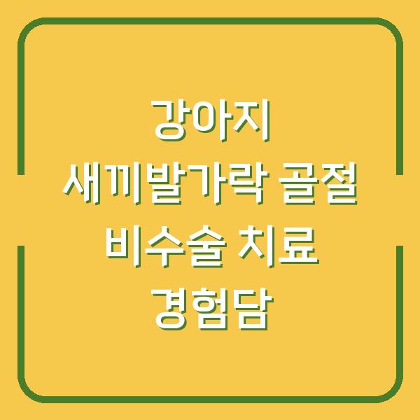강아지 새끼발가락 골절 비수술 치료 경험담