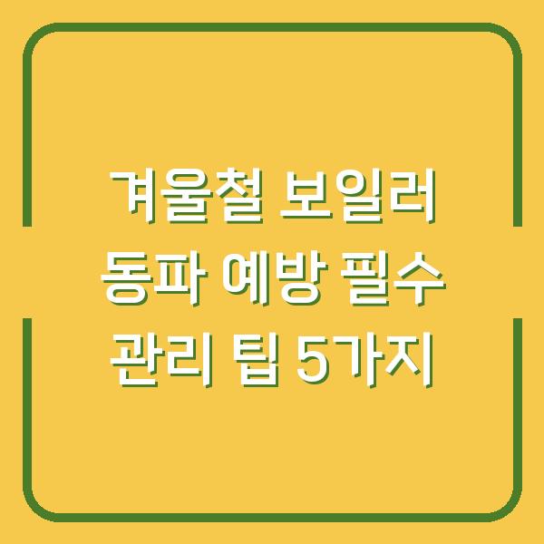 겨울철 보일러 동파 예방 필수 관리 팁 5가지
