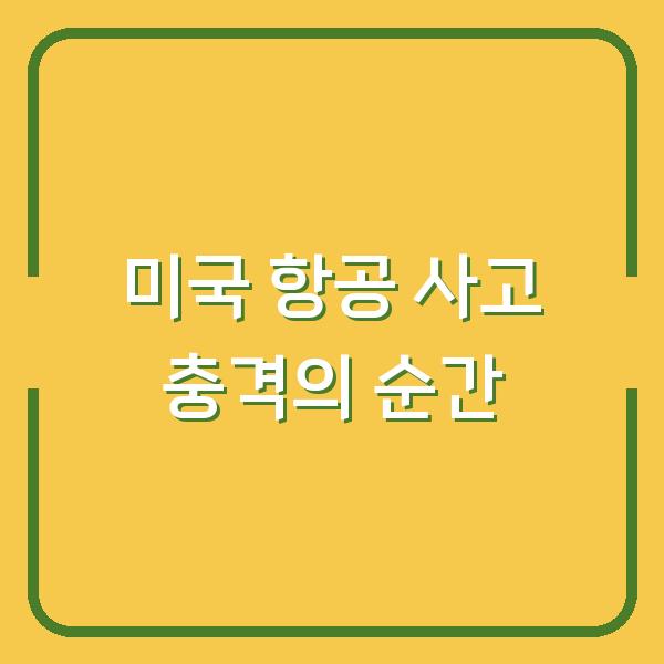 미국 항공 사고 충격의 순간