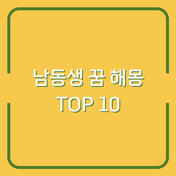 남동생 꿈 해몽 TOP 10