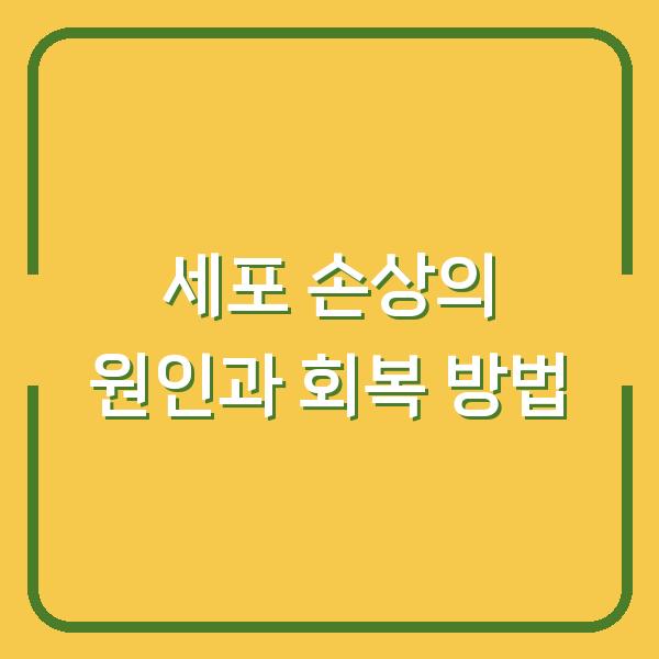 세포 손상의 원인과 회복 방법