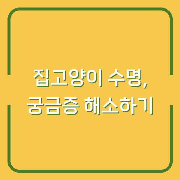 집고양이 수명, 궁금증 해소하기