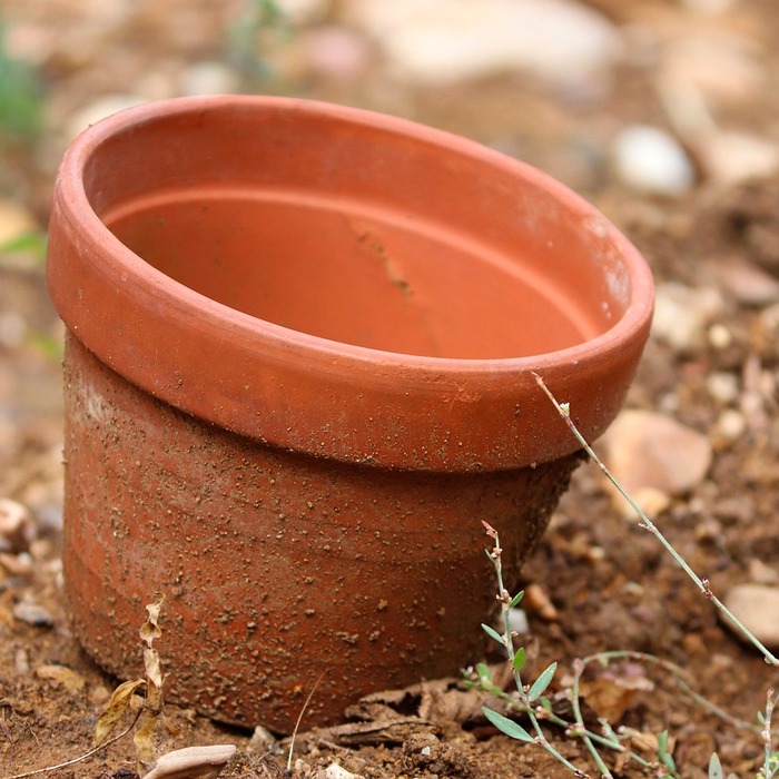 테라코타 화분
