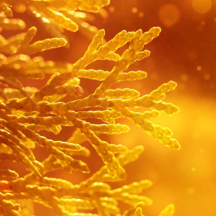 투자 성공 사례