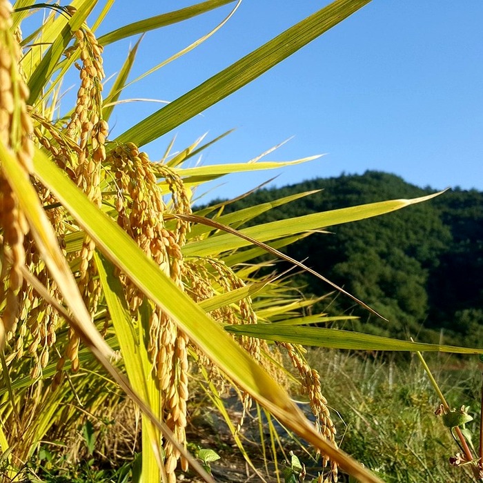 문경 레일바이크