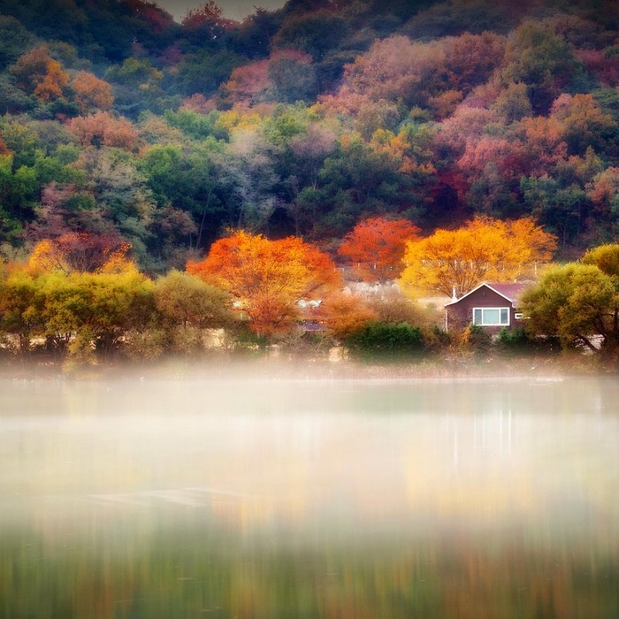 가을 단풍 경치