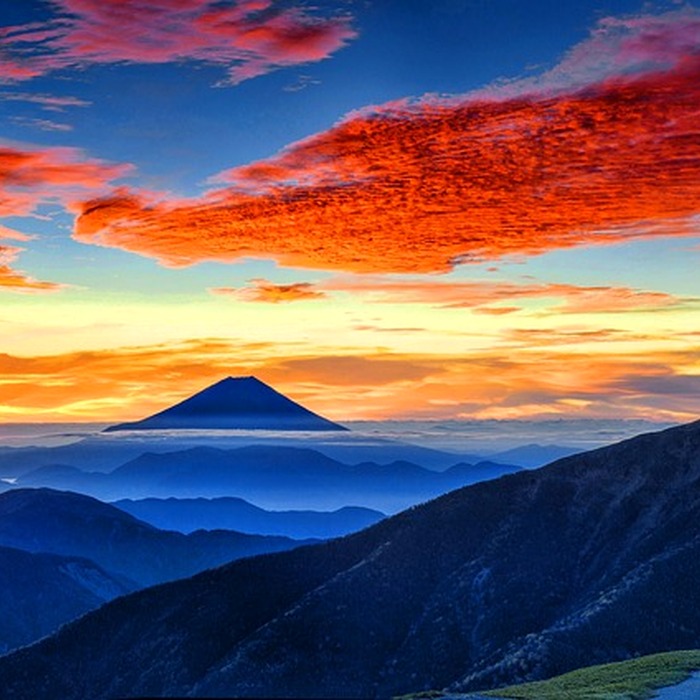 후지산 벚꽃