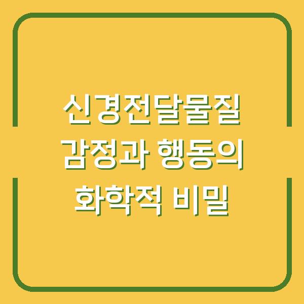 신경전달물질 감정과 행동의 화학적 비밀