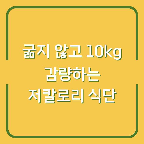굶지 않고 10kg 감량하는 저칼로리 식단