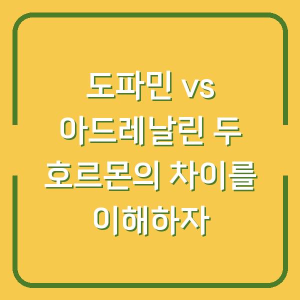 도파민 vs 아드레날린 두 호르몬의 차이를 이해하자