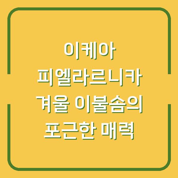 이케아 피엘라르니카 겨울 이불솜의 포근한 매력