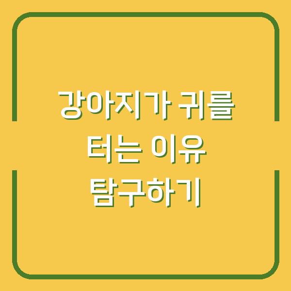 강아지가 귀를 터는 이유 탐구하기
