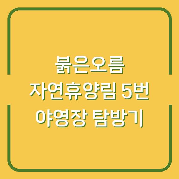붉은오름 자연휴양림 5번 야영장 탐방기
