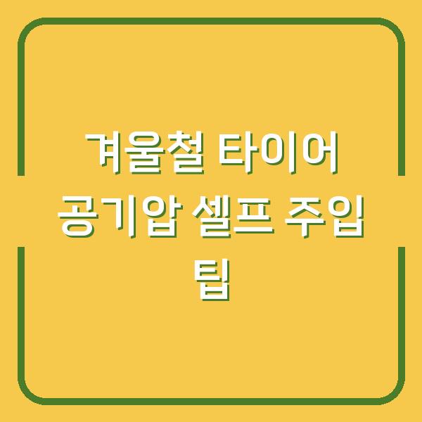 겨울철 타이어 공기압 셀프 주입 팁