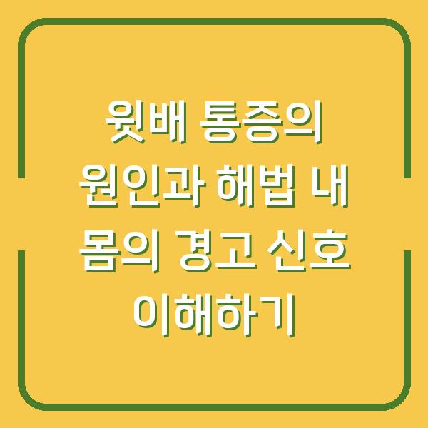 윗배 통증의 원인과 해법 내 몸의 경고 신호 이해하기