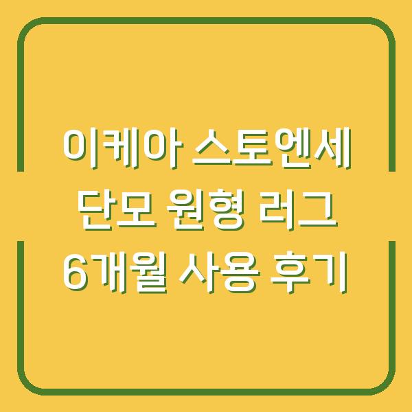이케아 스토엔세 단모 원형 러그 6개월 사용 후기