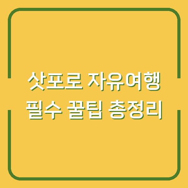 삿포로 자유여행 필수 꿀팁 총정리