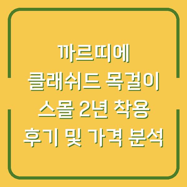 까르띠에 클래쉬드 목걸이 스몰 2년 착용 후기 및 가격 분석