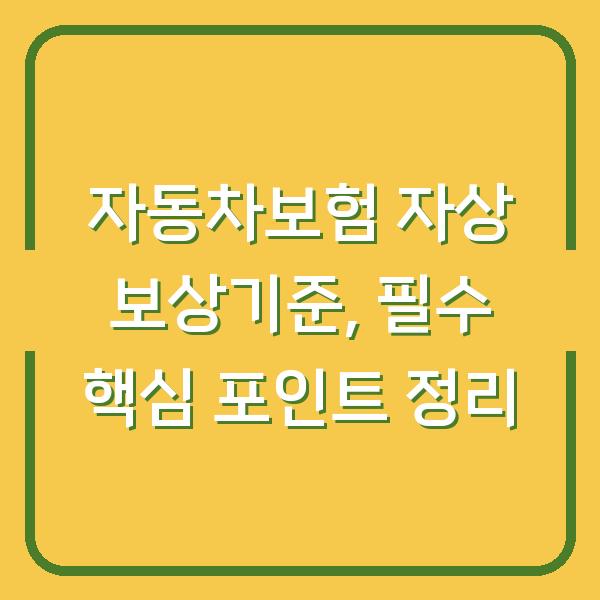 자동차보험 자상 보상기준, 필수 핵심 포인트 정리