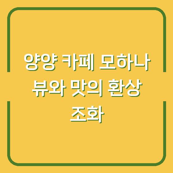 양양 카페 모하나 뷰와 맛의 환상 조화