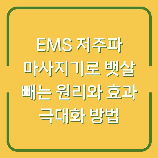 EMS 저주파 마사지기로 뱃살 빼는 원리와 효과 극대화 방법