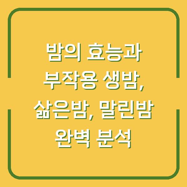 밤의 효능과 부작용 생밤, 삶은밤, 말린밤 완벽 분석