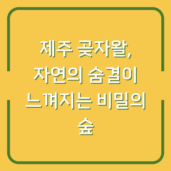 제주 곶자왈, 자연의 숨결이 느껴지는 비밀의 숲