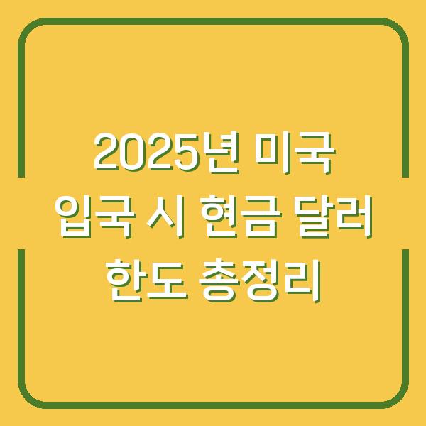2025년 미국 입국 시 현금 달러 한도 총정리