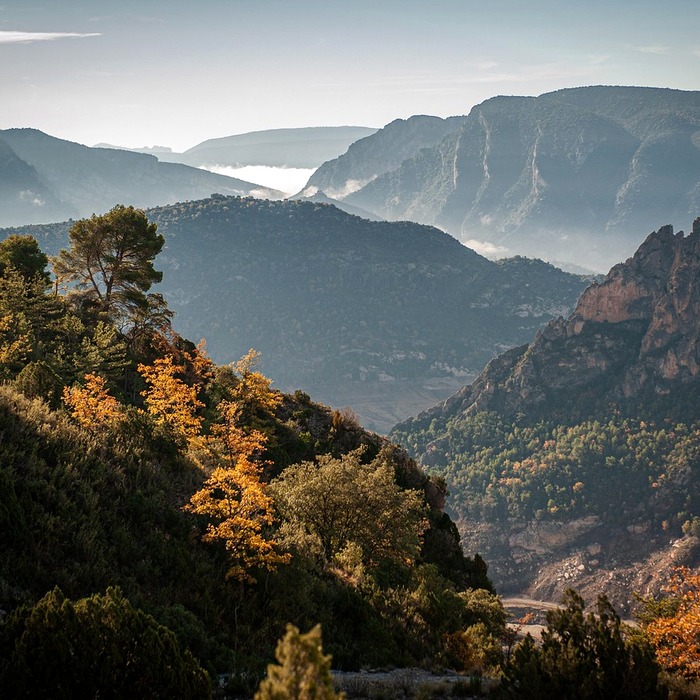가을 산 풍경