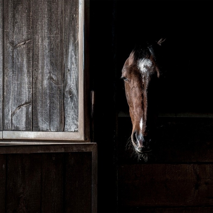 악한 말