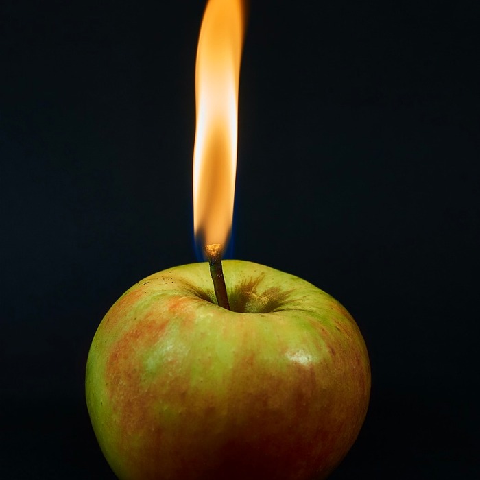 Apple 가족 공유