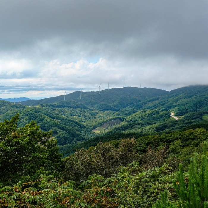 동행자와 산행