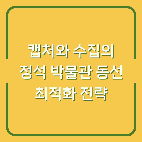 캡처와 수집의 정석 박물관 동선 최적화 전략