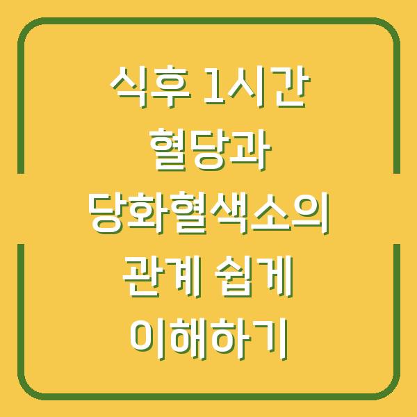 식후 1시간 혈당과 당화혈색소의 관계 쉽게 이해하기