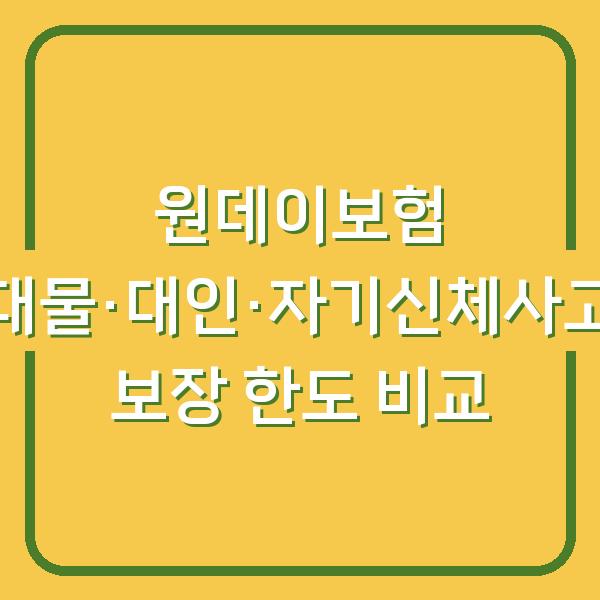 원데이보험 대물·대인·자기신체사고 보장 한도 비교