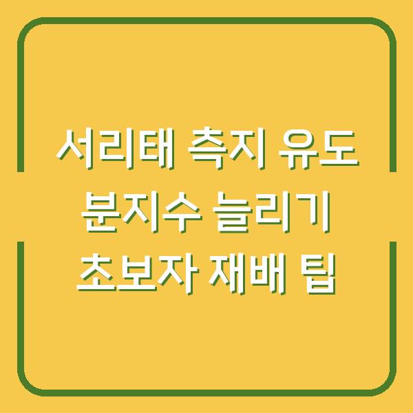 서리태 측지 유도 분지수 늘리기 초보자 재배 팁