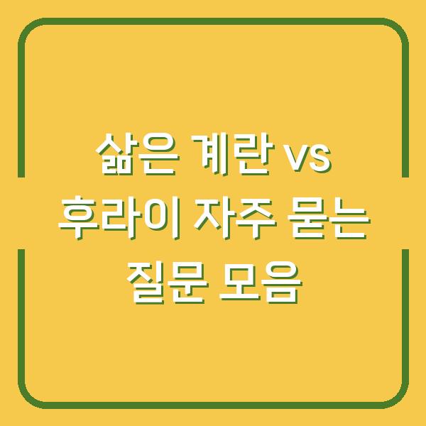 삶은 계란 vs 후라이 자주 묻는 질문 모음