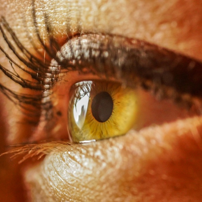 EyeBar 전망