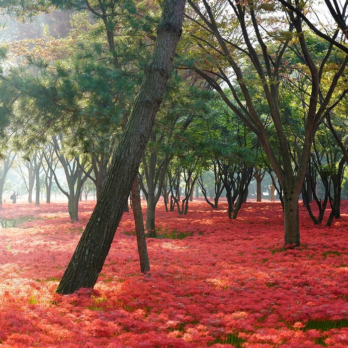 시간 동기화 방법