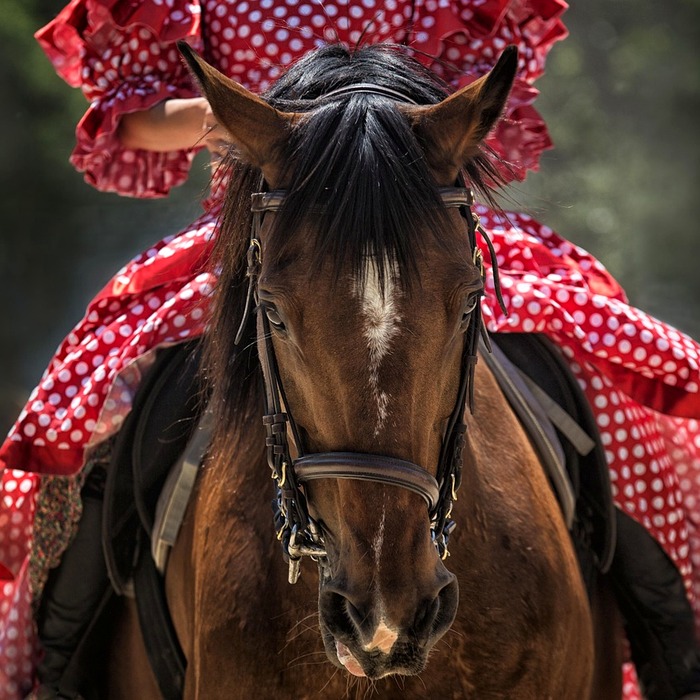 긍정적인 말