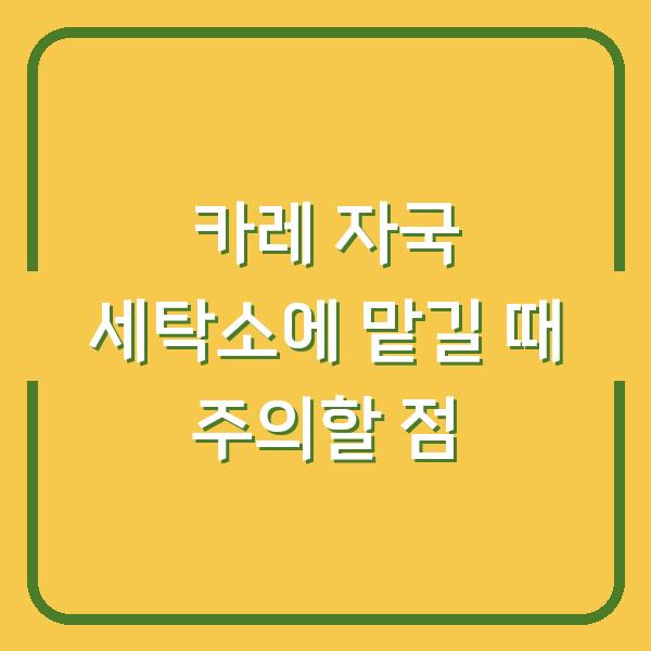 카레 자국 세탁소에 맡길 때 주의할 점