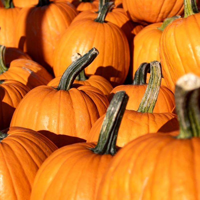 살리실산 패치